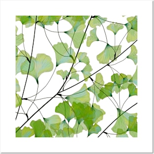 Ginkgo leaves Posters and Art